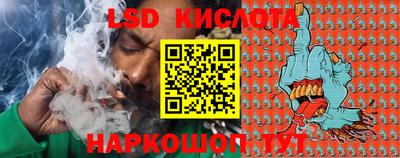 шишки Пенза