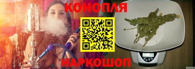 шишки Пенза
