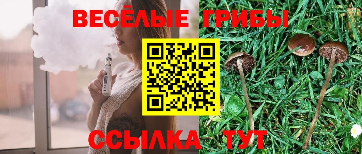Заречный  Галлюциногенные грибы прущие грибы  Вход с VPN  Галлюциногенные грибы Psilocybine cubensis 