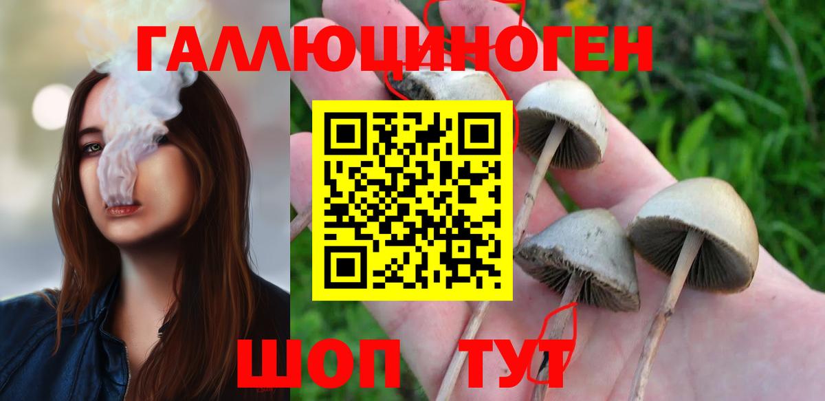 Псилоцибиновые грибы ЛСД Заречный