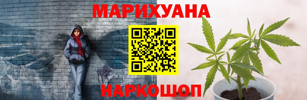 Шишки марихуана сатива  Конопля конопля  Конопля гибрид  Вход с VPN  МАРИХУАНА планчик  Заречный 